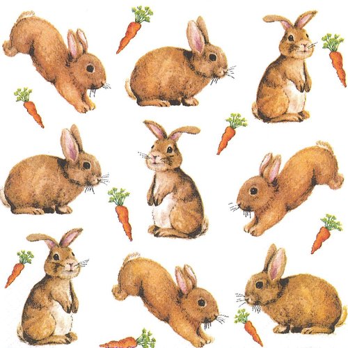 Serviette papier petit lapin et les carottes