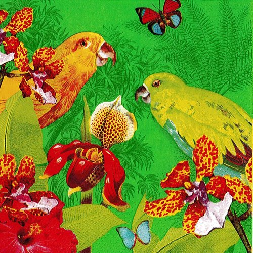 Serviette papier oiseau perroquet papillon orchidée