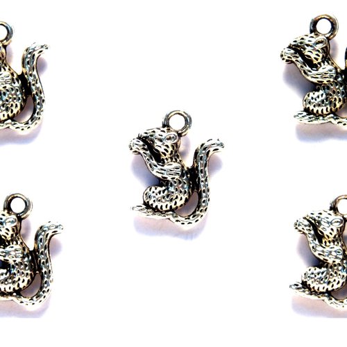 Lot 5 charms/breloques plaqué argent écureuil 15*13mm (01)