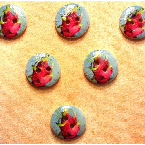 Lot 6 boutons bois : rond thème fruit  15mm