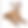 Pochoir a4 en plastique mylar chien american staffordshire terrier