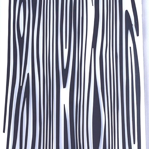 Classeur d'embossage plastique : motif veinage bois 14*10cm (01)