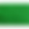 Ruban croquet polyester : vert largeur 10mm longueur 2m