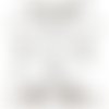 Pochoir plastique motif  secret de jardin 30*21cm