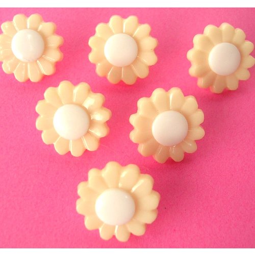Lot 6 boutons acryliques : marguerite crème/blanche 15mm (01)