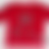 Tee-shirt manches longues enfant rouge "chatozorus" 