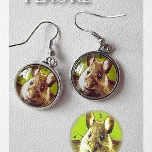 Boucles d'oreille argentées et cabochons "une souris verte..."