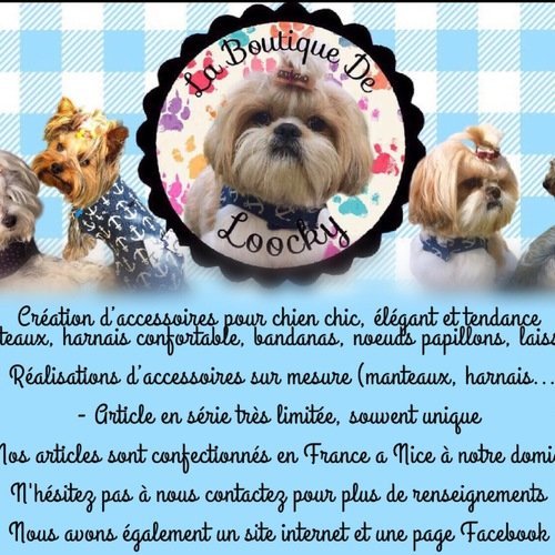 Bandana Pour Chien Style Mexicain 100 Coton Pour Petit Chien Accessoire Pour Chien Colliers Bandana