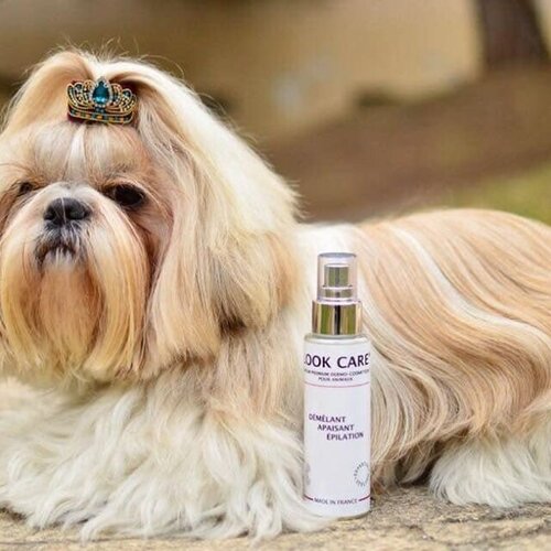Sérum dermo-cosmétique hydratant, démêlant, apaisant 100% naturel pour chien, chat, cheveux