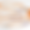 Chic laisse pour chien cordon orange et perles scintillants / laisse exposition canin