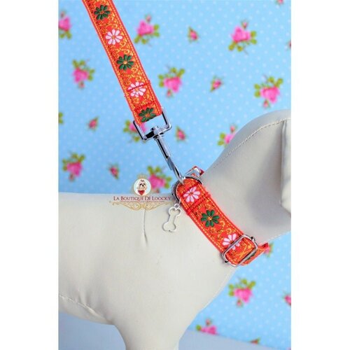 Collier orange réglable pour chien et chat / laisse assortie / cadeaux pour chien