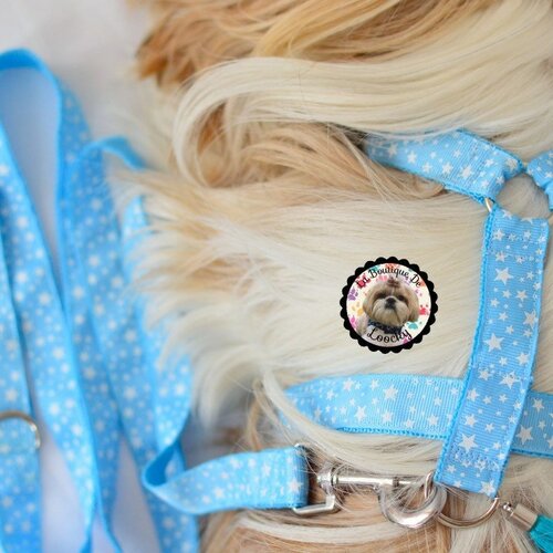 Harnais réglable bleu motif étoile pour chien et chat, avec laisse assortie, idée cadeaux
