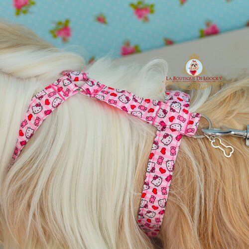 Harnais hello kitty réglable pour chien et chat, avec laisse assortie, idée cadeaux