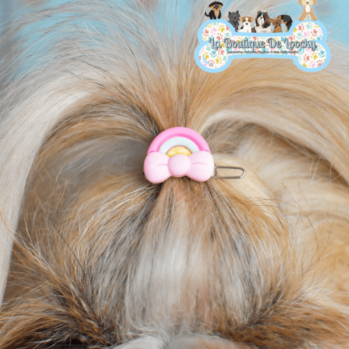 Barrette arc en ciel pour chien a poil long, accessoire chien, idée cadeau