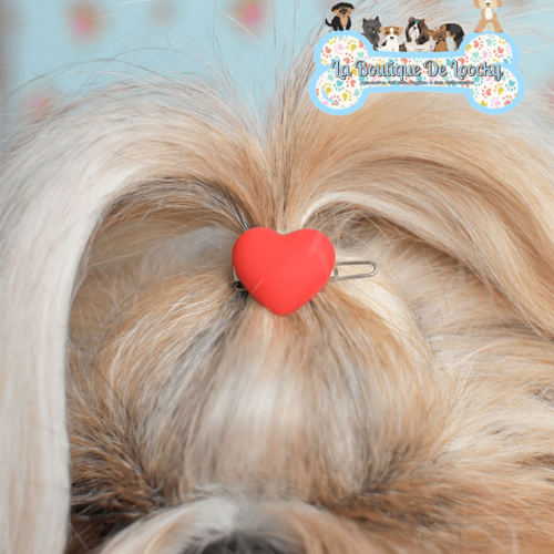 Barrette coeur rouge pour chien a poil long, accessoire chien, idée cadeau