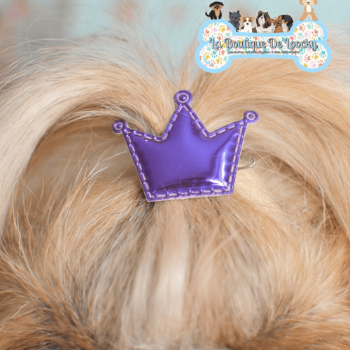 Barrette couronne violet pour chien a poil long