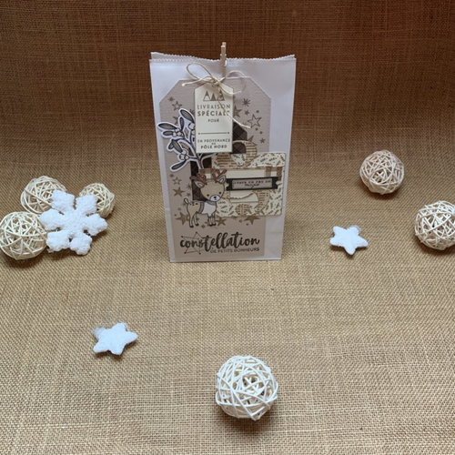 Sachet décoration de noël " rennes de noël"