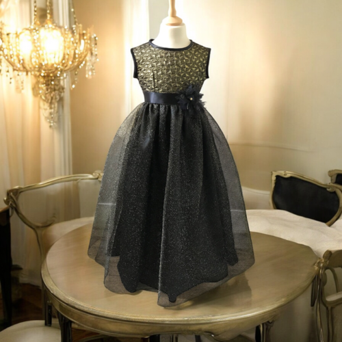 Robe de fête princesse petite fille