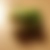 Grenouille vert clair aimanté 3 cm