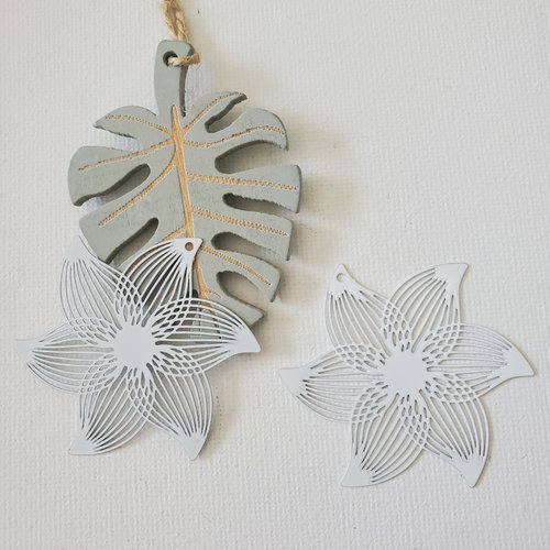 2 estampes fleur blanche