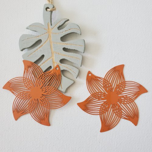 2 estampes fleur orange