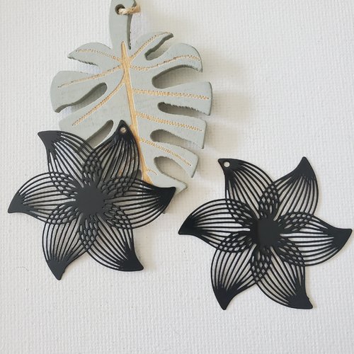 2 estampes fleur noire
