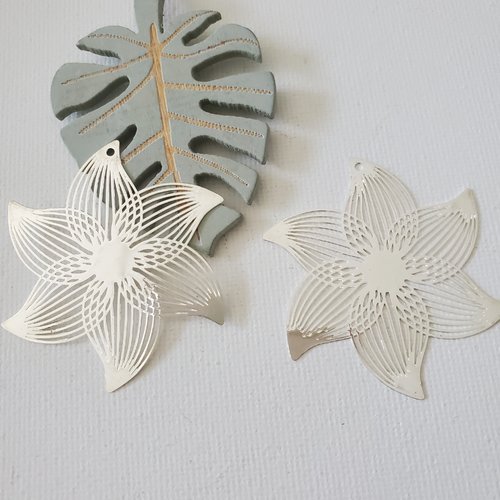 2 estampes fleur couleur argent