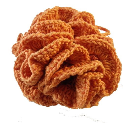 Fleur de douche orange