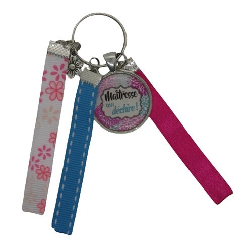 Porte clés bleu et rose "maîtresse qui déchire"