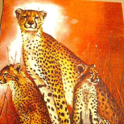 Serviette en papier - la famille guépards