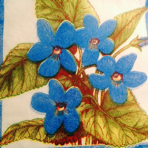 Serviette en papier - myosotis