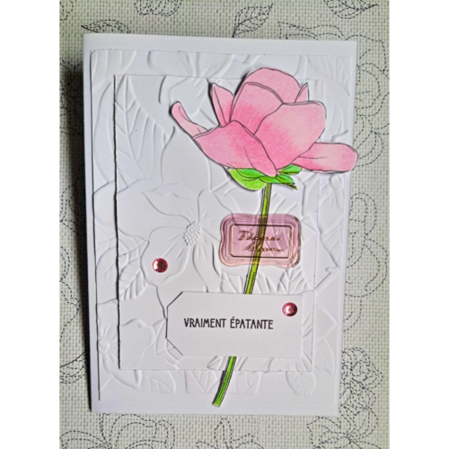 Carte message positif