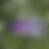 Bandeau cheveux bohème motifs papillons gris violet