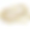 135 perles coquillage cauris, concha mers du sud de couleur beige, marron , blanc naturel vernis