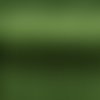 20m cordon queue de rat 2mm de couleur vert avocat brillant 