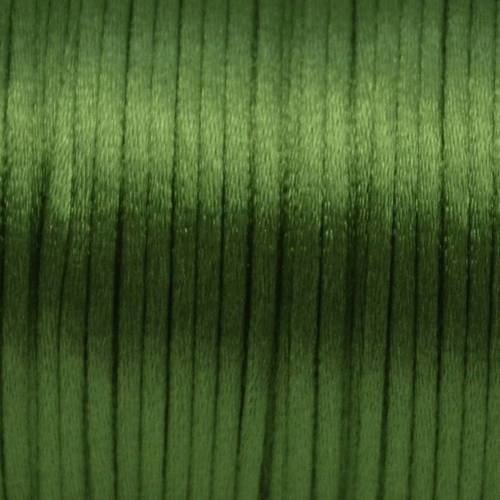 20m cordon queue de rat 2mm de couleur vert avocat brillant 