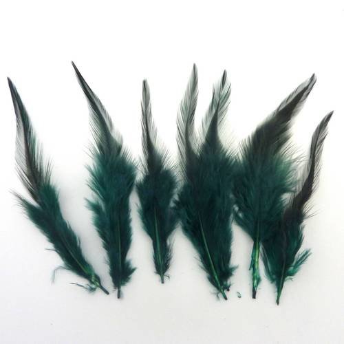 7 plumes teinte vert bouteille approximativement 12-16 cm