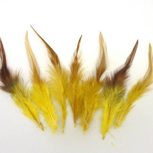 7 plumes teinte jaune et marron approximativement 12-16 cm 