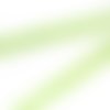 2,50m ruban galon plat 12mm vichy blanc et vert anis en polyester fin et très souple