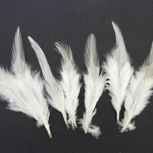 7 plumes teinte blanc crème approximativement 8 -12 cm 