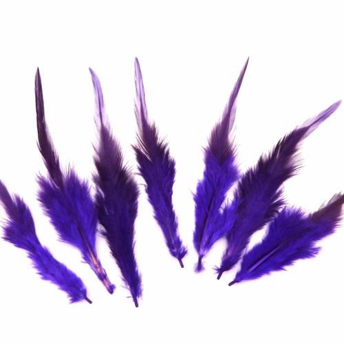 7 plumes teinte violet approximativement 8-16 cm