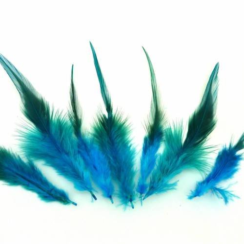 7 plumes teinte bleu canard approximativement 9-16 cm 