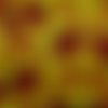 1m ruban coccinelle rouge sur fond jaune 10mm de large 
