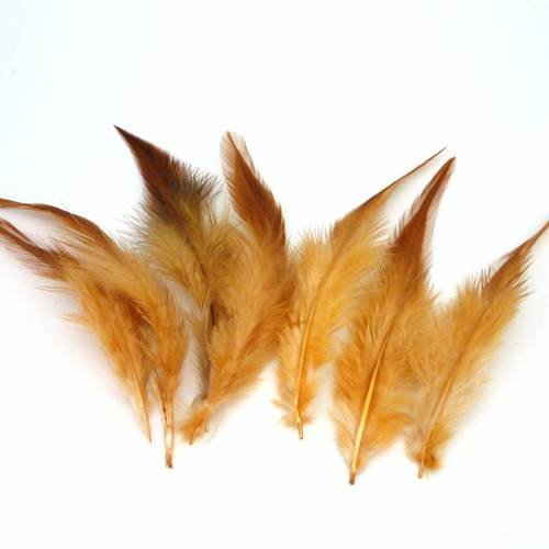 7 plumes teinte marron clair approximativement 13-16 cm