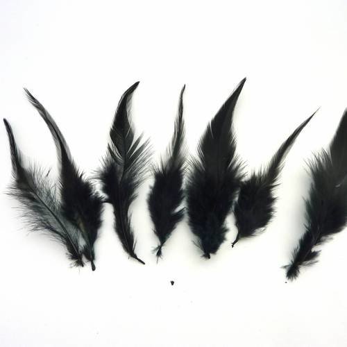 7 plumes teinte noire approximativement 10-14 cm