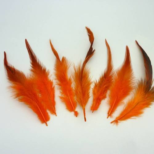 7 plumes teinte orange approximativement 13-18 cm 