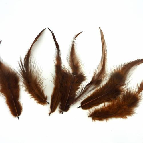 7 plumes teinte marron approximativement 13-17 cm