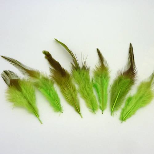 7 plumes teinte vert vif approximativement 9-14 cm 