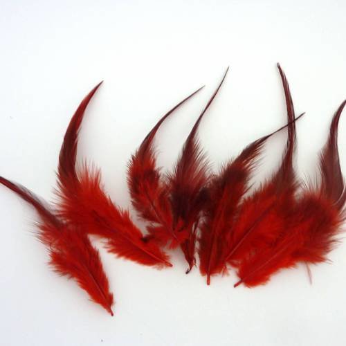 7 plumes teinte rouge approximativement 11-15 cm