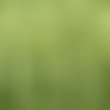 Cordon queue de rat, ficelle chinoise tressée vert anis brillant 3,5m
